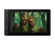 Huion Kamvas Pro 16 - 500881 - zdjęcie 1
